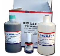 GEIMSA STAIN KIT    (With Buffer  10X & Easyfix Spray)